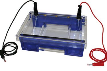 Electrophoresis chamber