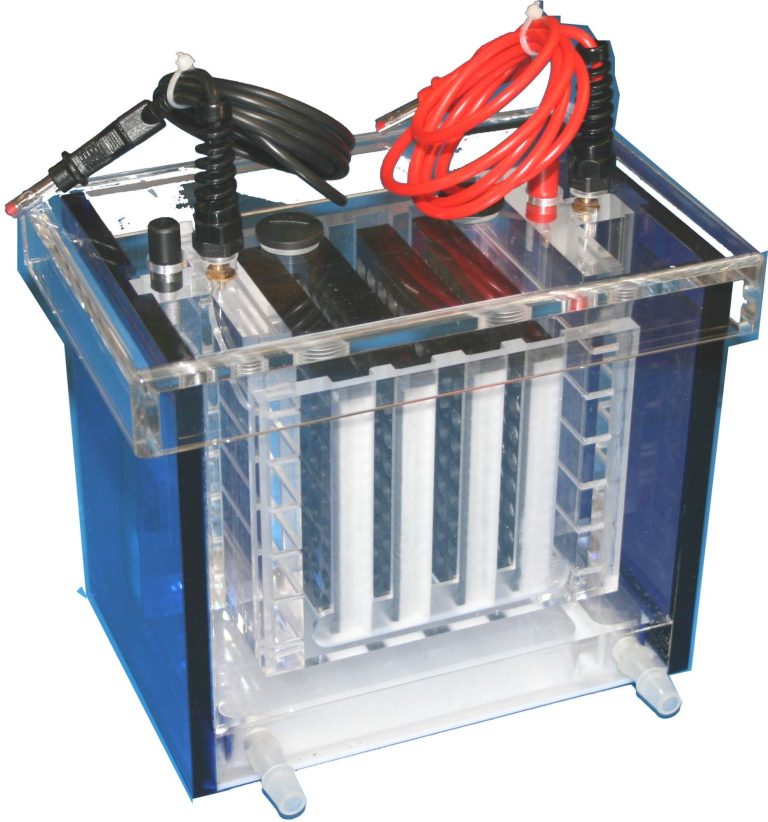 Blotmodule